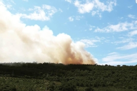 64635929-C997-49F1-813B-A06FD0EEBB87