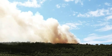 64635929-C997-49F1-813B-A06FD0EEBB87