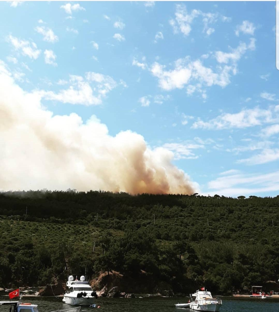 64635929-C997-49F1-813B-A06FD0EEBB87