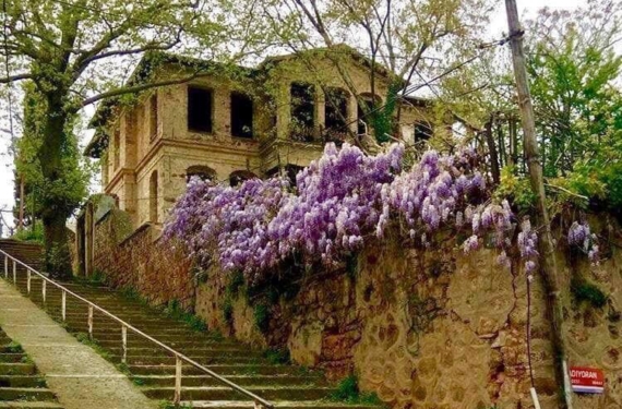 Taş Mektep