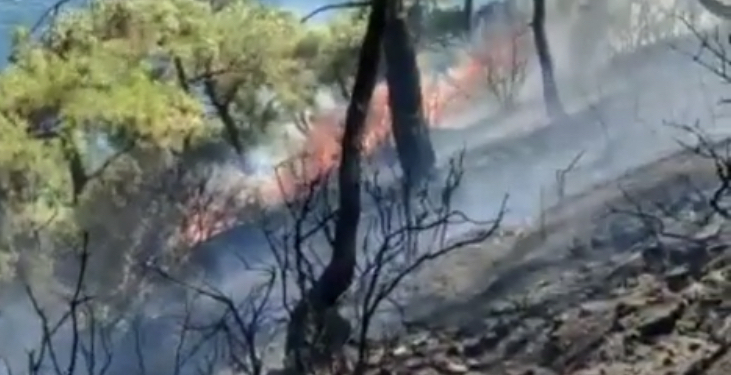 Burgazada’da, Doğaya Destek Konseri