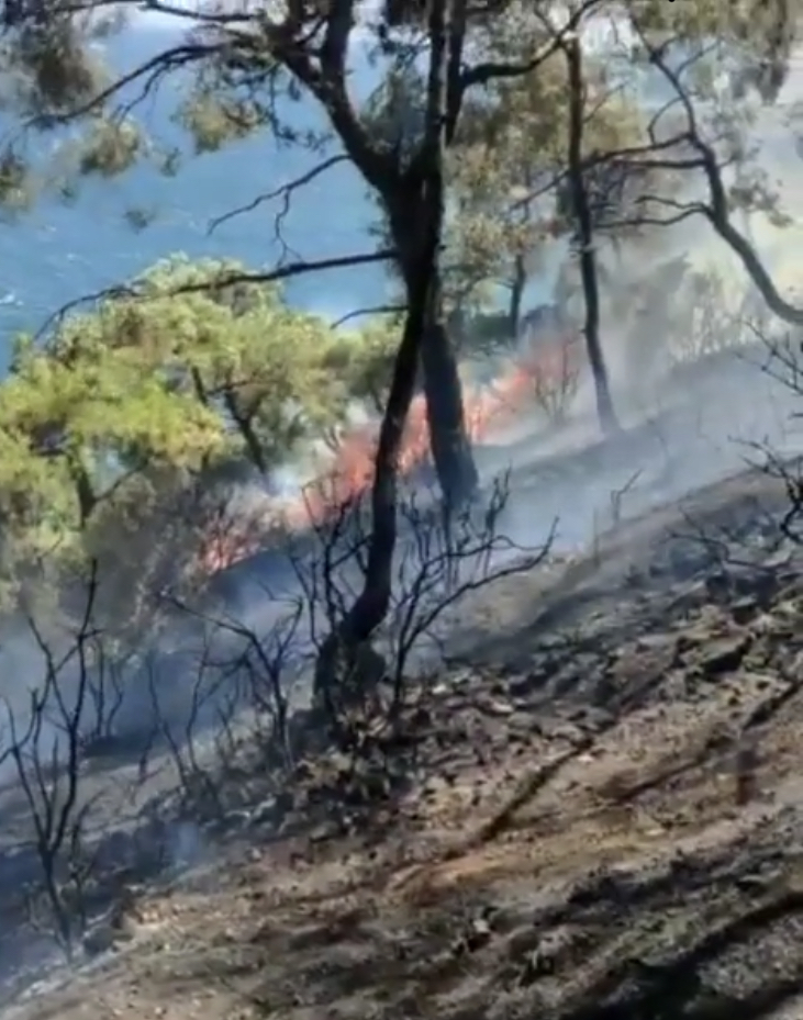 Doğaya Destek Konseri