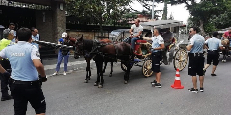 Adalar’da Faytonda Sigara İçenlere Ceza Yağdı!