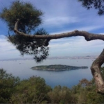 Sedef Adası