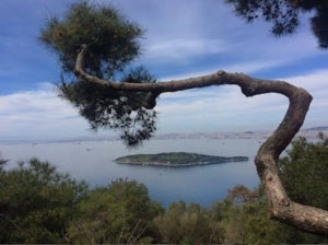 Sedef Adası