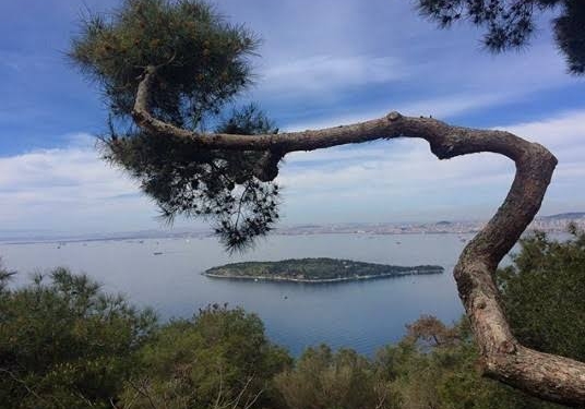Sedef Adası