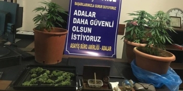 Uyuşturucu
