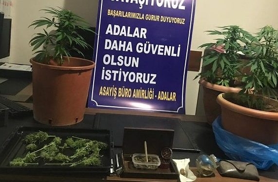 Uyuşturucu