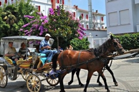 Adalar'da Atlarımızı ve Faytonlarımızı İstiyoruz