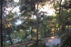 Temiz Bir Heybeliada