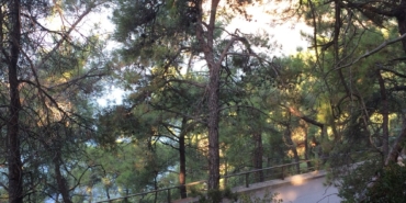 Temiz Bir Heybeliada