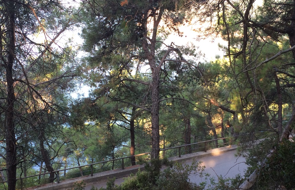 Temiz Bir Heybeliada