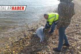 E979FDA1-4008-405D-B7CC-8E4E59312B9B