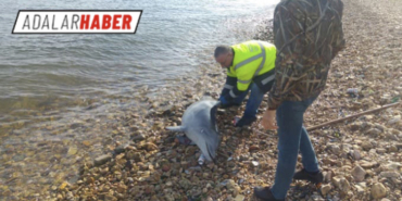 E979FDA1-4008-405D-B7CC-8E4E59312B9B