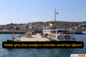 Adalar giriş çıkış