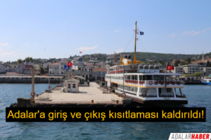 giriş ve çıkış