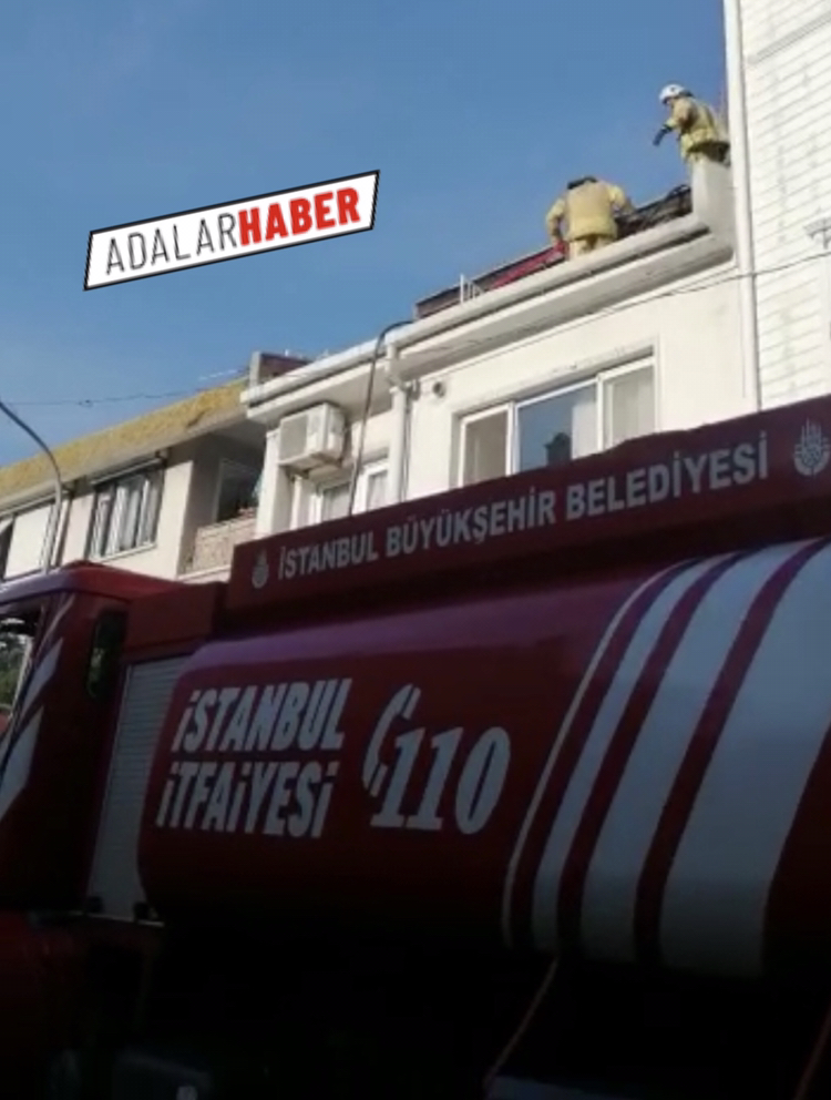 18432507-1EFC-4D6F-9163-2F93DF8C1680