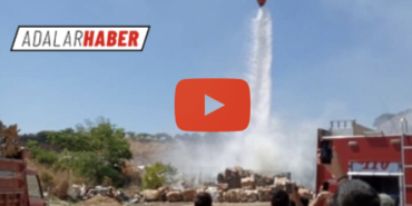 242DD52E-F7E8-416C-992A-885560D8BC19