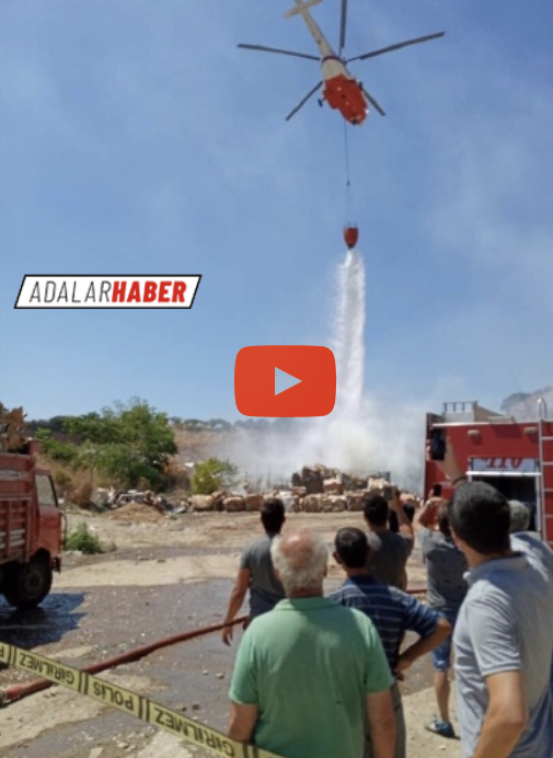 242DD52E-F7E8-416C-992A-885560D8BC19