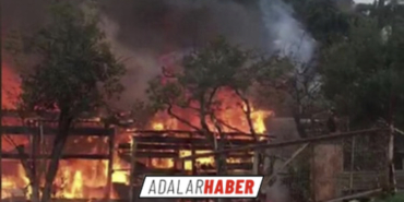 39AC5538-7F38-4DCA-AA64-FF397BFC5D23