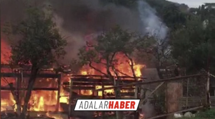 39AC5538-7F38-4DCA-AA64-FF397BFC5D23