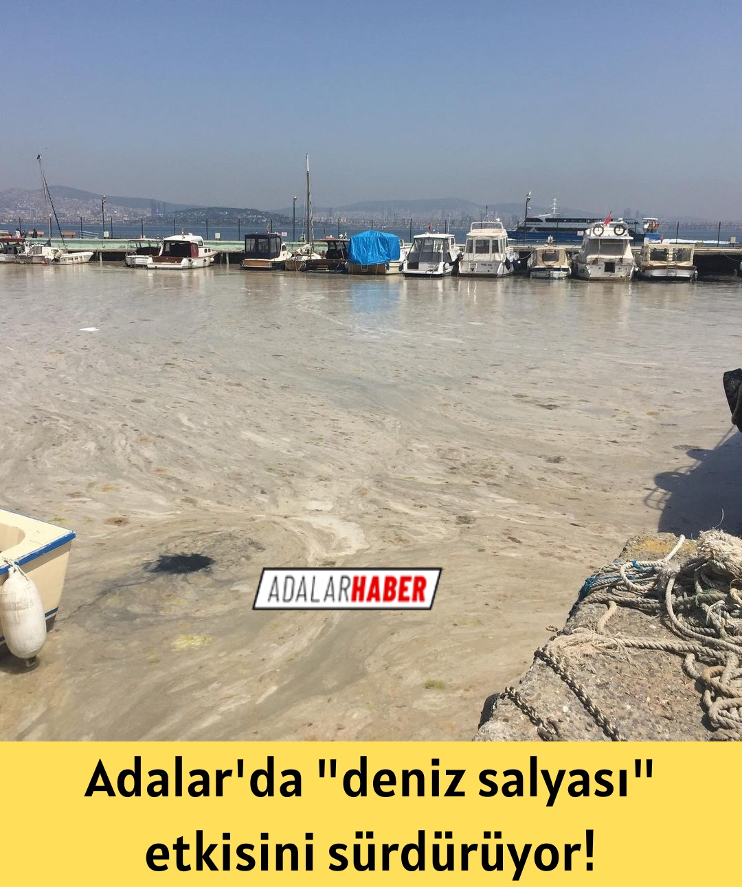 Adalar’da “deniz salyası” etkisini sürdürüyor