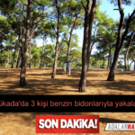 D400B932-8239-4342-B956-C5991925E8E4