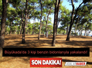 D400B932-8239-4342-B956-C5991925E8E4