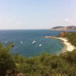 E3C352B0-AAEE-4D8D-B221-8690AE2757C2