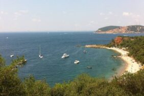 E3C352B0-AAEE-4D8D-B221-8690AE2757C2