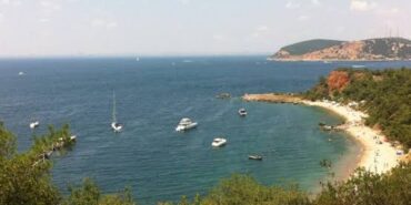 E3C352B0-AAEE-4D8D-B221-8690AE2757C2