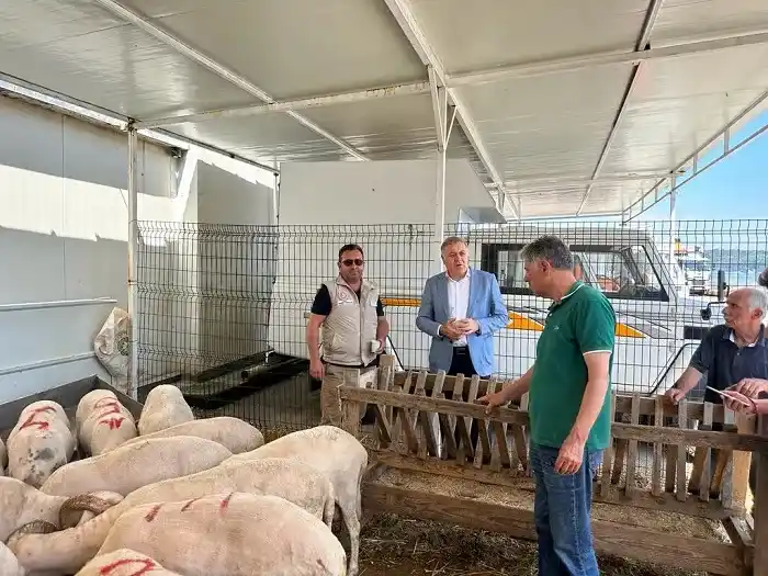 A06B3736-BC3A-4ACD-8F1B-2CCC06948E82