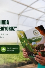 Arı Tarım